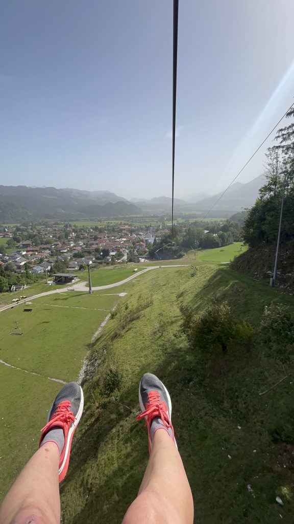 Flying Fox